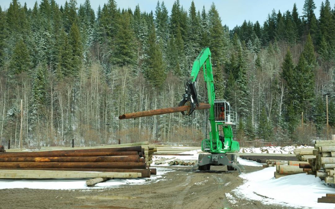 Stella-Jones Managers Agree That The SENNEBOGEN 830 M-T Is Built To Their Purpose