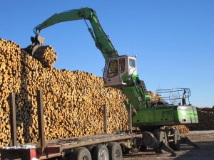 Because of the stability of the SENNEBOGEN 830 M-T, operators can stack piles higher, increasing the capacity of the lumber yard.