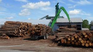 The new SENNEBOGEN 830 M-T has taken over the duties of two tandem log trucks fitted with loading booms, resulting in improved safety as well as throughput.