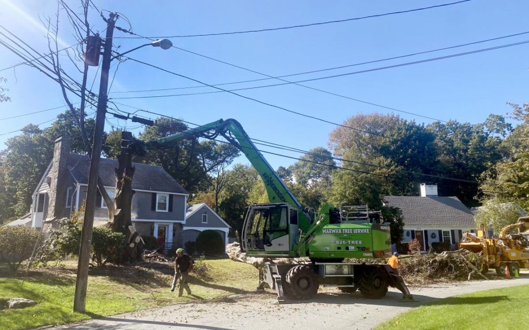 SENNEBOGEN Tree Care Handlers “Are The Future” For Warwick Tree Service