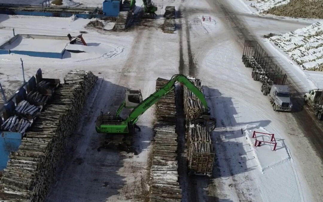 Mountainside Unloading Earns Rare Position Servicing Louisiana-Pacific Mill with SENNEBOGEN Log Handlers