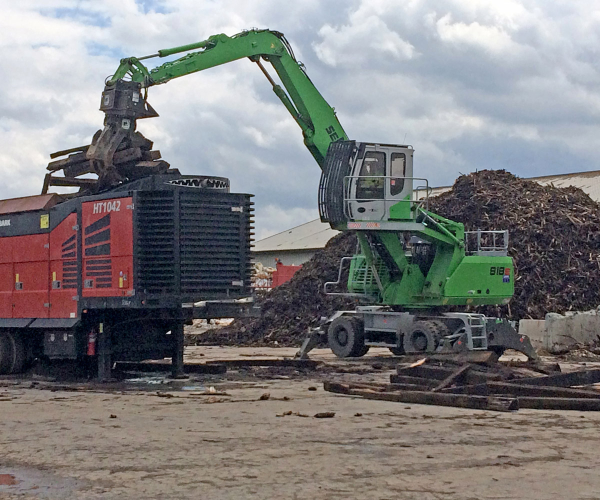 biomass