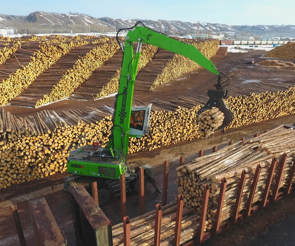 log-yard