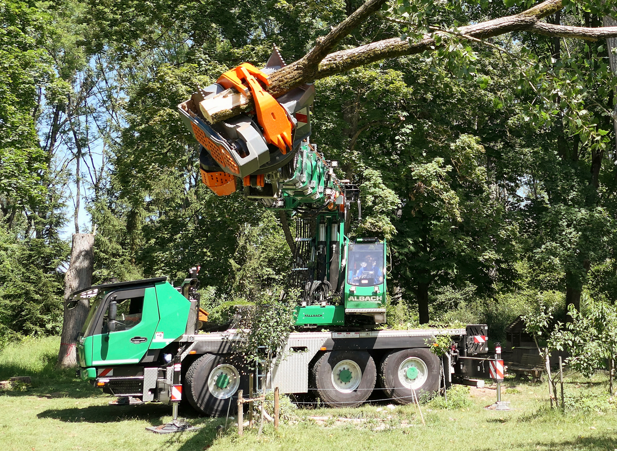 safety-efficency-feature
