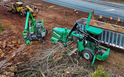 Big Dog Stump & Tree Scales Up with SENNEBOGEN 718 and Albach Diamant 2000